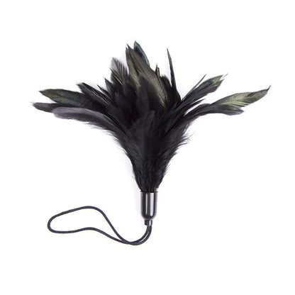 Feather Tickler Teasing Toy for Couples Flirt Play