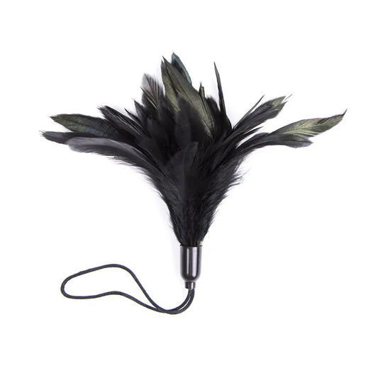 Feather Tickler Teasing Toy for Couples Flirt Play